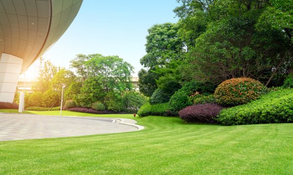 Commercial Shrub Trimming in Frankfort