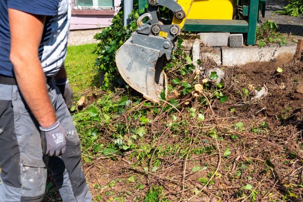 Hedge Removal Service in Frankfort