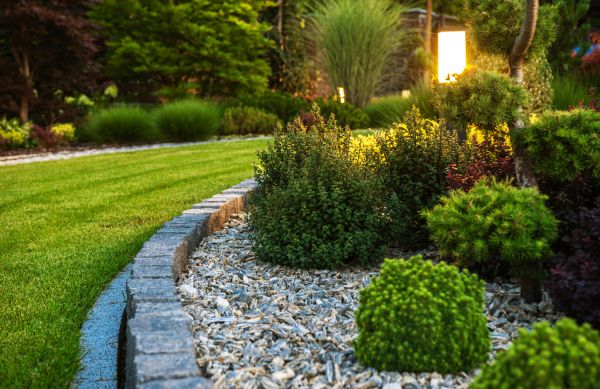 Cost of Bush Relocation in Frankfort