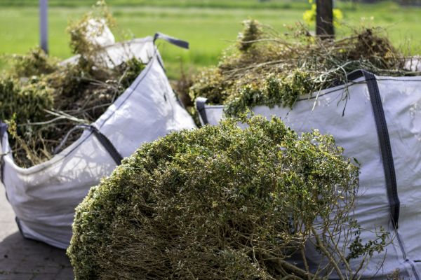 Shrubs Removal in Frankfort